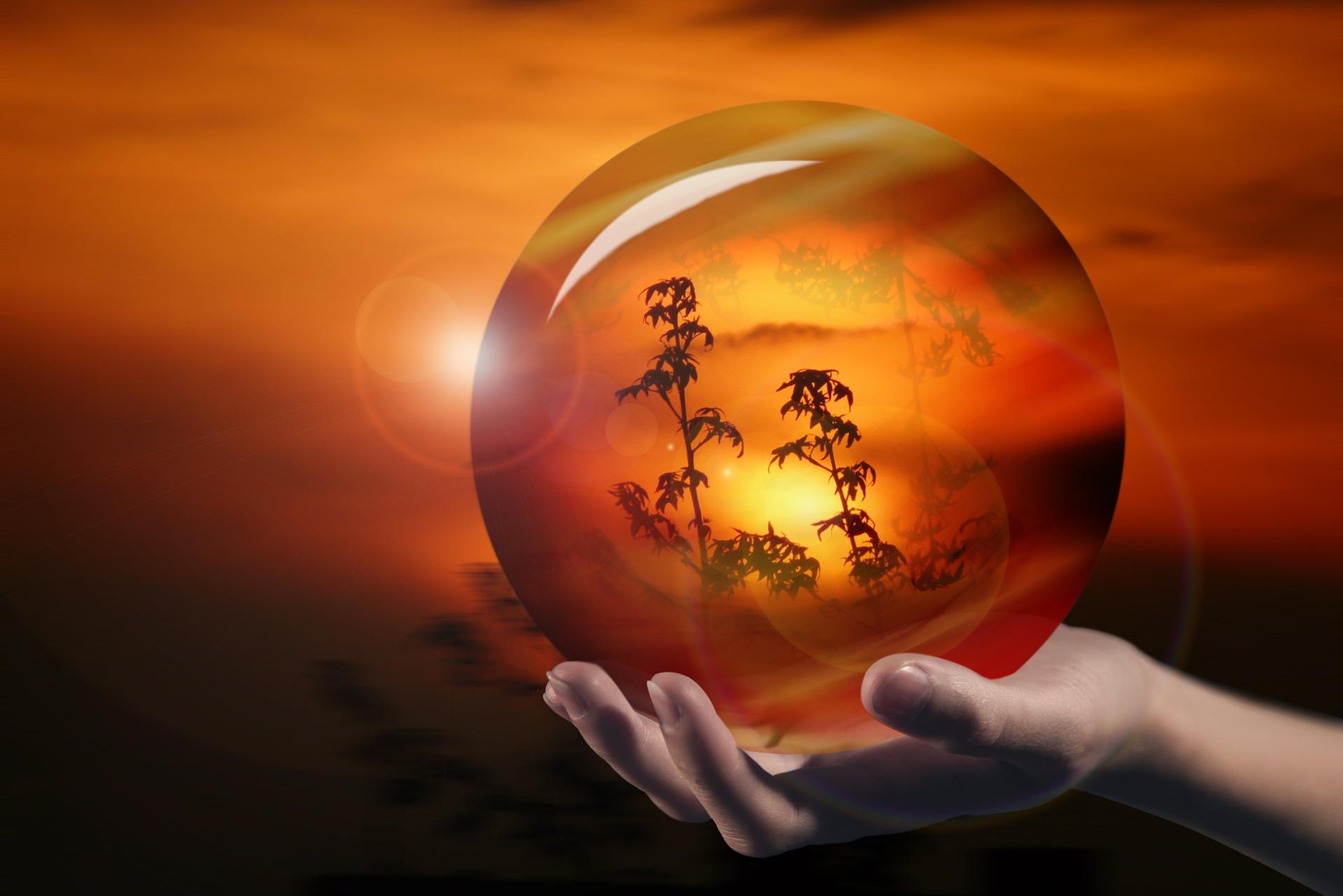 Monde d'après et crise coronavirus